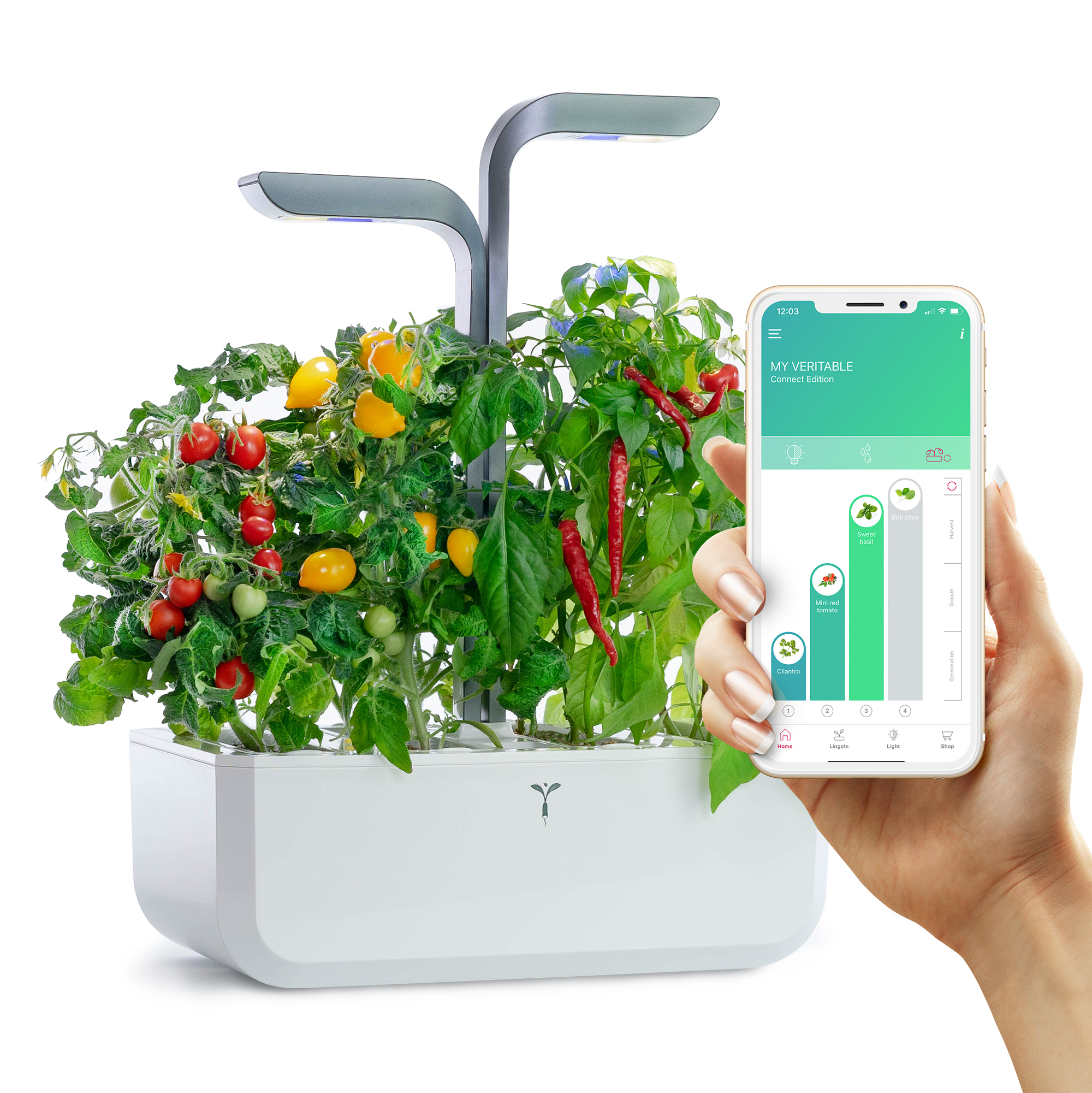 Potager CONNECT-IG-IPHONE EN